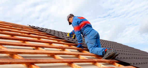 Best Asphalt Shingle Roofing  in West Clarkston Highland, WA